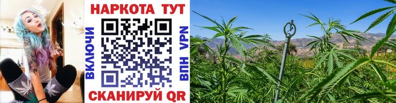 Купить наркотики цена Коломна hydra зеркало  МАРИХУАНА  Codein  МЕТАМФЕТАМИН  Мефедрон  Кокаин  ГАШИШ 