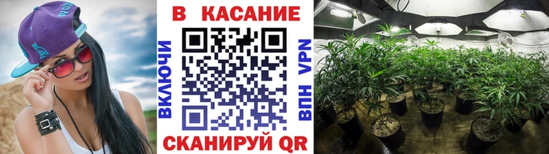 LSD-25 Коломна