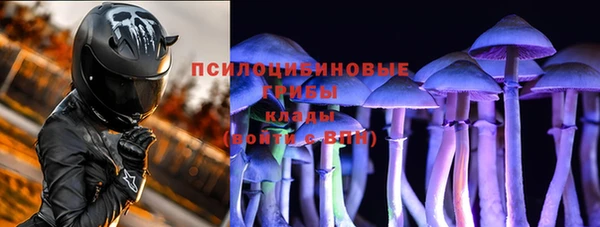 таблы Козловка