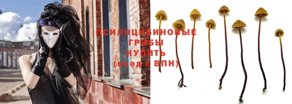 крисы Козельск