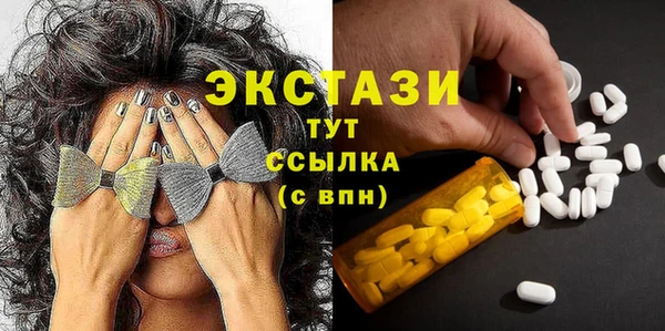 крисы Козельск
