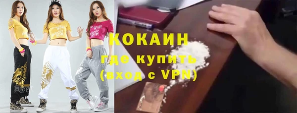 крисы Козельск