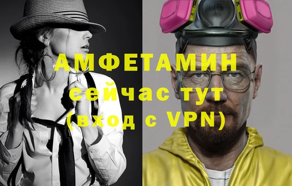 крисы Козельск