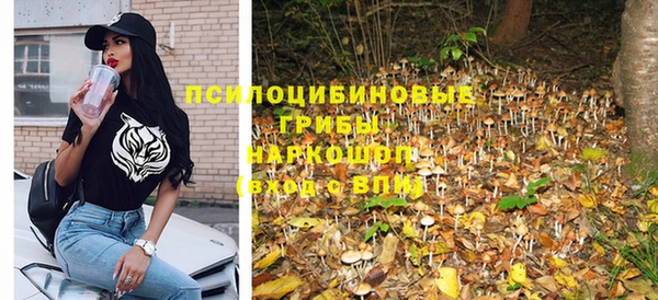 крисы Козельск