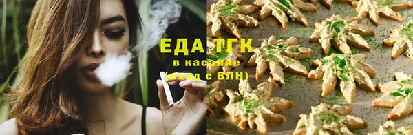 крисы Козельск