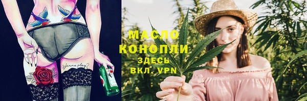 крисы Козельск