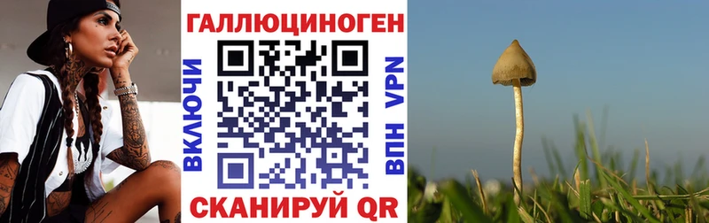 цена   Коломна  Галлюциногенные грибы Psilocybe 