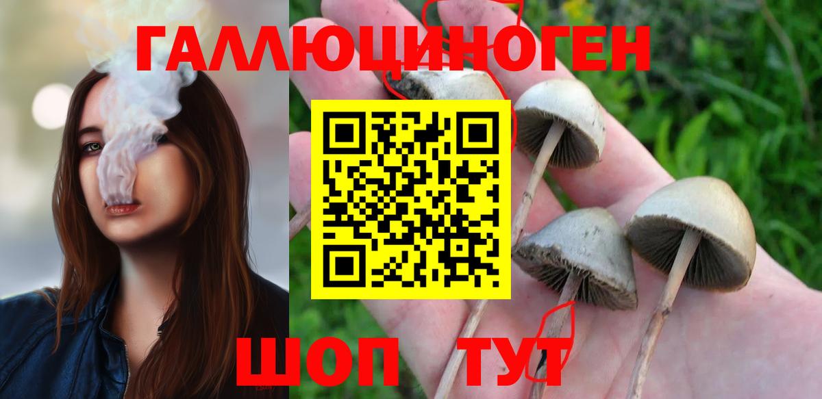 продажа наркотиков  Вход с VPN  Галлюциногенные грибы Magic Shrooms  Коломна  Галлюциногенные грибы Psilocybine cubensis 